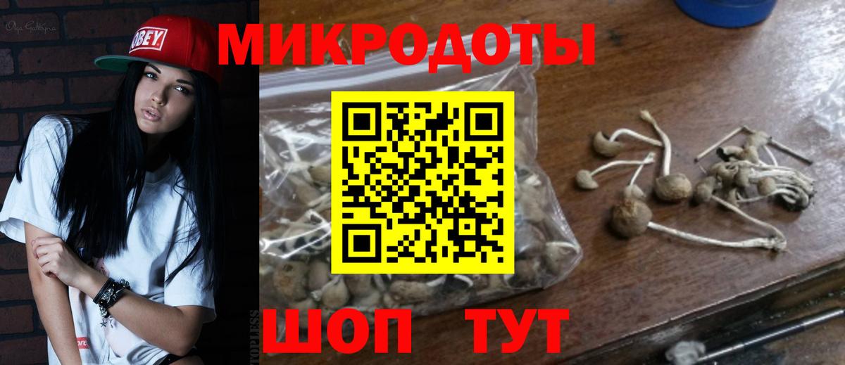 Псилоцибиновые грибы Cubensis Ессентуки