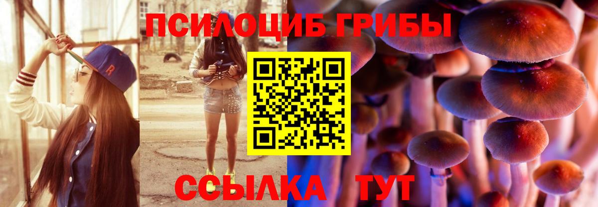 Псилоцибиновые грибы GOLDEN TEACHER  Вход с VPN  Ессентуки 